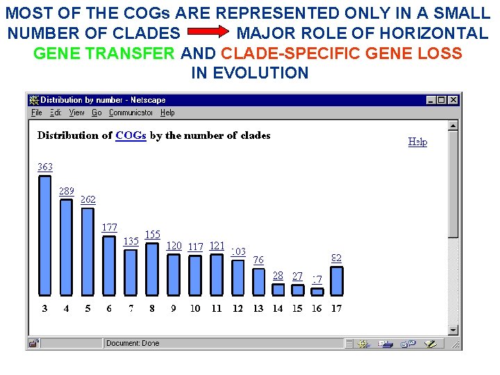 MOST OF THE COGs ARE REPRESENTED ONLY IN A SMALL NUMBER OF CLADES MAJOR