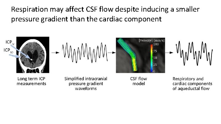 Respiration may affect CSF flow despite inducing a smaller pressure gradient than the cardiac