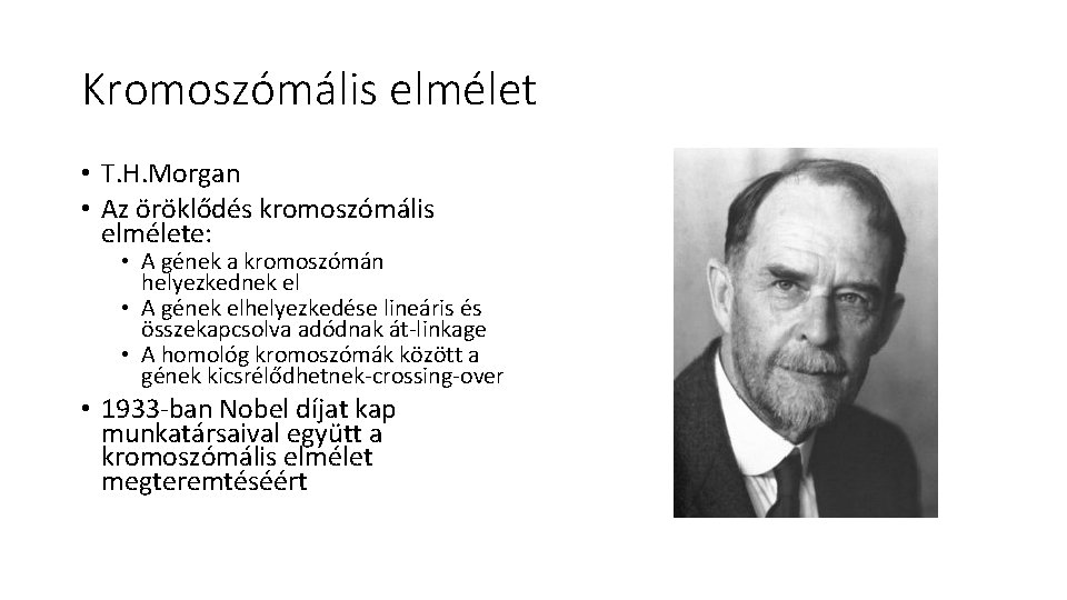 Kromoszómális elmélet • T. H. Morgan • Az öröklődés kromoszómális elmélete: • A gének