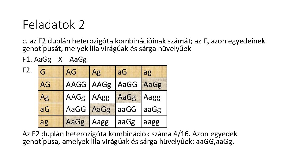 Feladatok 2 c. az F 2 duplán heterozigóta kombinációinak számát; az F 2 azon Feladatok 2 c. az F 2 duplán heterozigóta kombinációinak számát; az F 2 azon