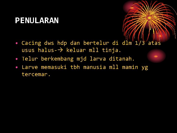 PENULARAN • Cacing dws hdp dan bertelur di dlm 1/3 atas usus halus- keluar