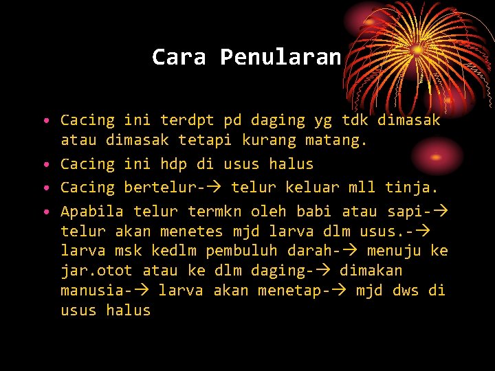 Cara Penularan • Cacing ini terdpt pd daging yg tdk dimasak atau dimasak tetapi