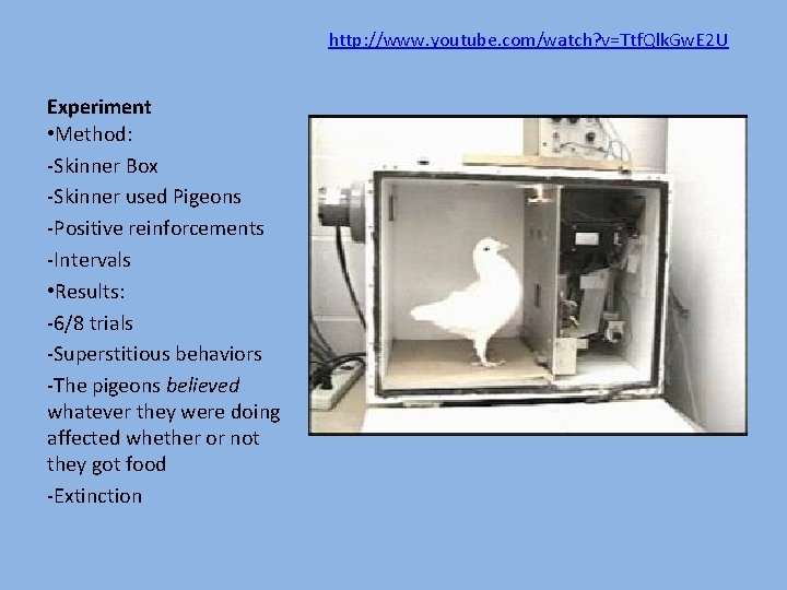 http: //www. youtube. com/watch? v=Ttf. Qlk. Gw. E 2 U Experiment • Method: -Skinner