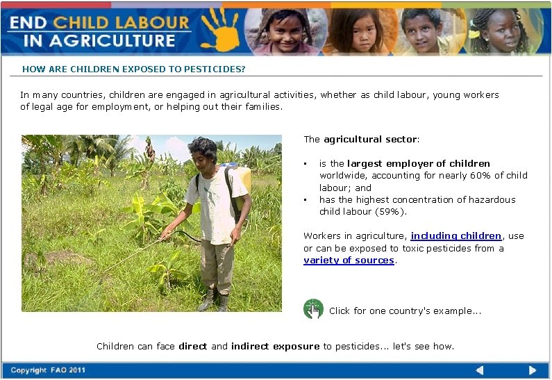 HOW ARE CHILDREN EXPOSED TO PESTICIDES? In many countries, children are engaged in agricultural