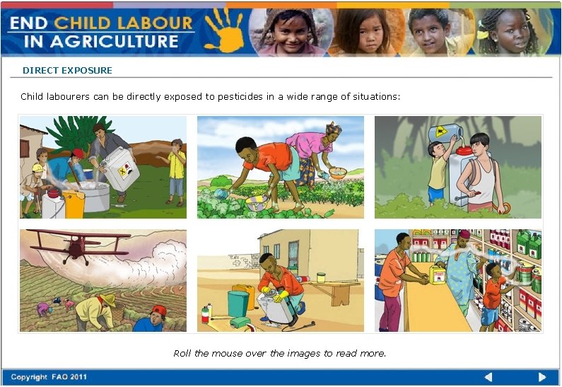 DIRECT EXPOSURE Child labourers can be directly exposed to pesticides in a wide range