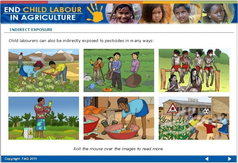 INDIRECT EXPOSURE Child labourers can also be indirectly exposed to pesticides in many ways: