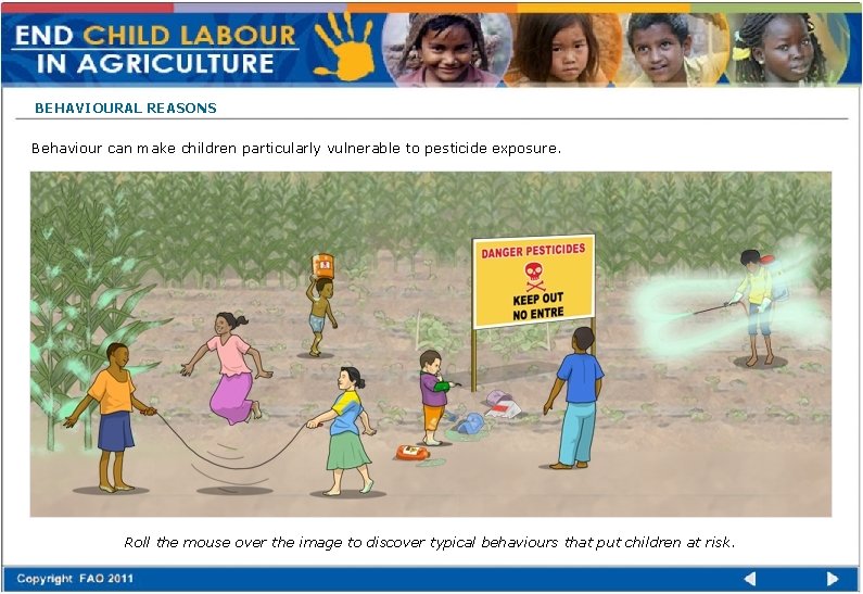 BEHAVIOURAL REASONS Behaviour can make children particularly vulnerable to pesticide exposure. Flash File InputGraphicsFinalCWD_1281_29.