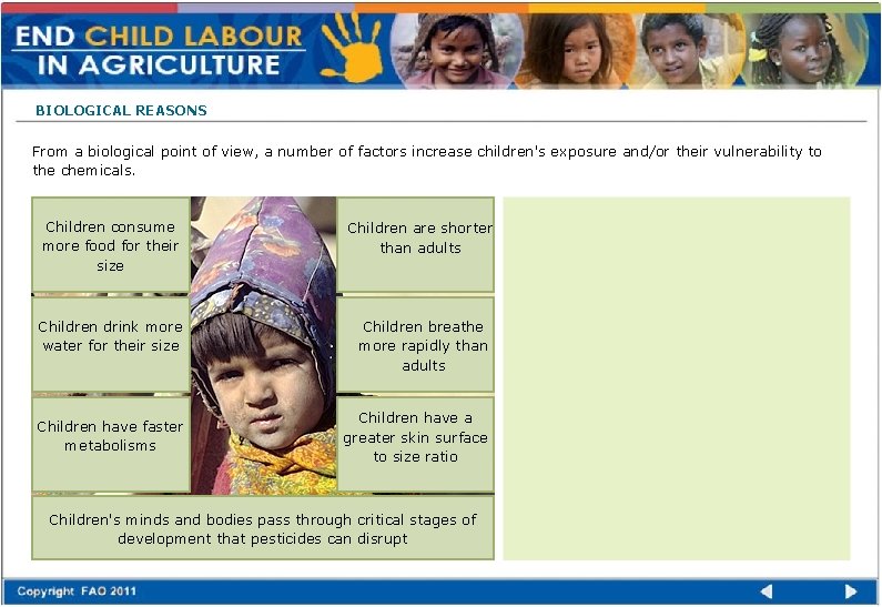 BIOLOGICAL REASONS From a biological point of view, a number of factors increase children's