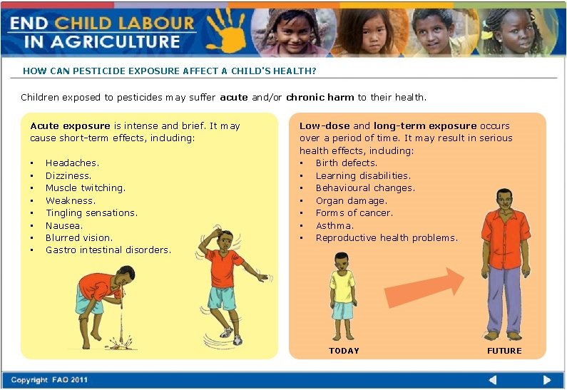 HOW CAN PESTICIDE EXPOSURE AFFECT A CHILD'S HEALTH? Children exposed to pesticides may suffer