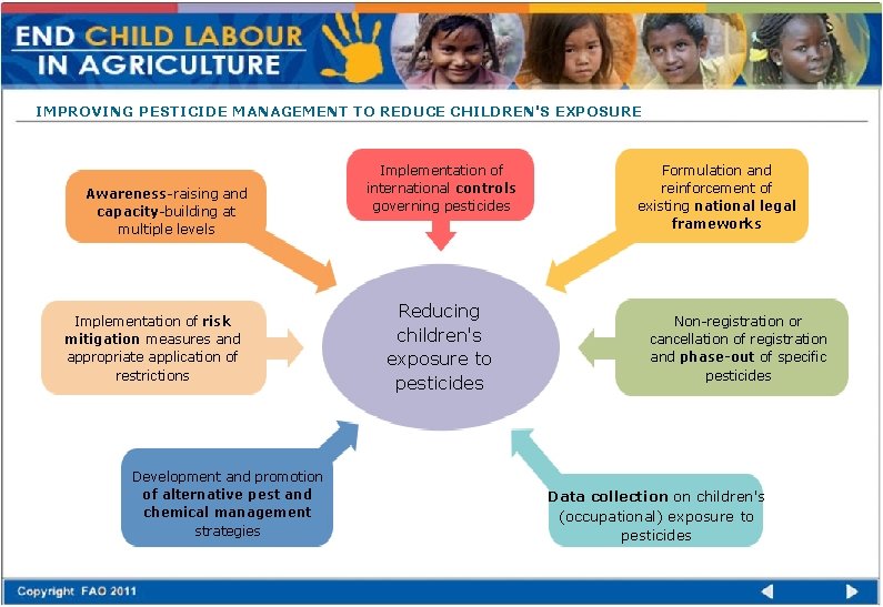 IMPROVING PESTICIDE MANAGEMENT TO REDUCE CHILDREN'S EXPOSURE Awareness-raising and capacity-building at multiple levels Implementation