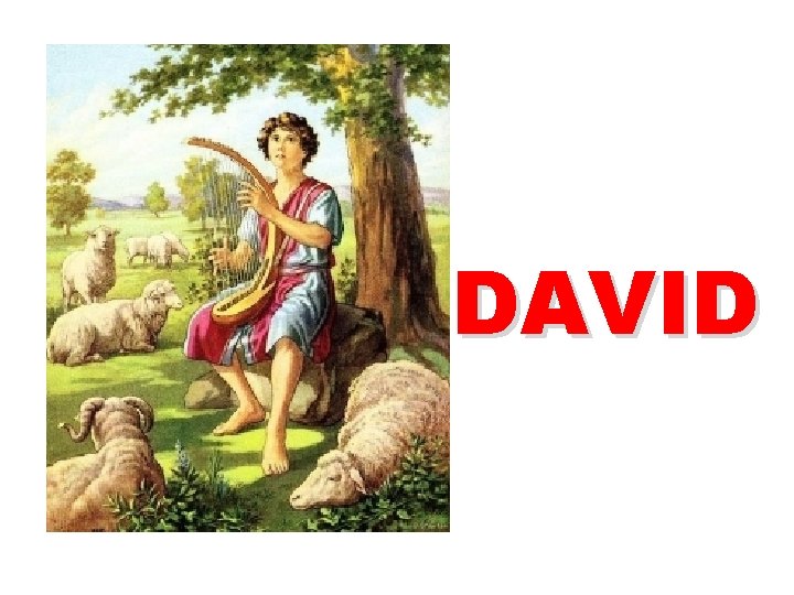 DAVID 