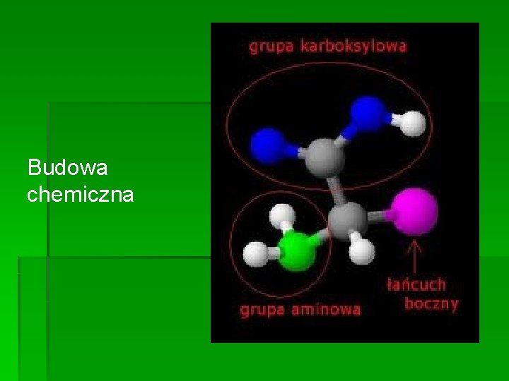 Budowa chemiczna 