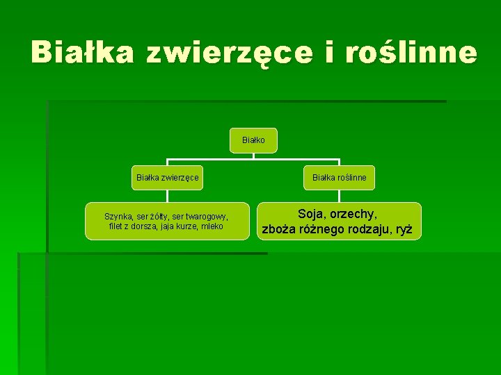 Białka zwierzęce i roślinne Białko Białka zwierzęce Białka roślinne Szynka, ser żółty, ser twarogowy,