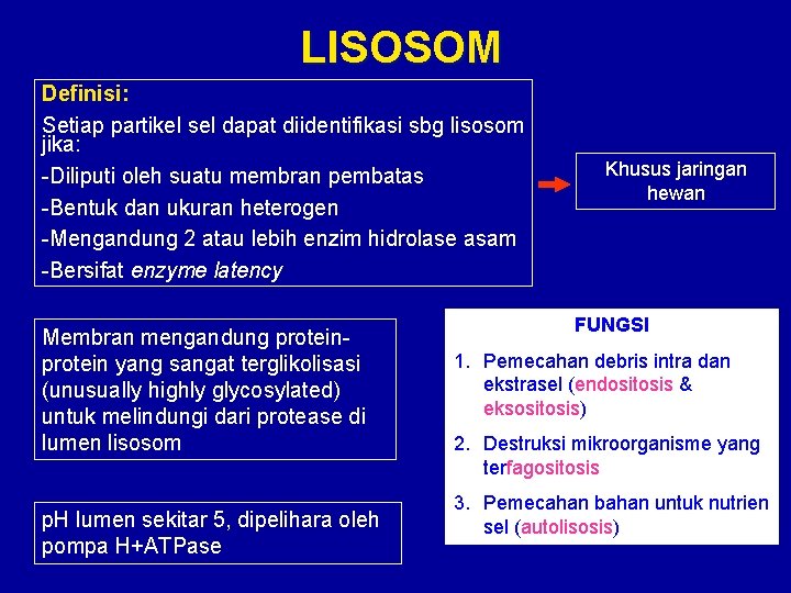 LISOSOM Definisi: Setiap partikel sel dapat diidentifikasi sbg lisosom jika: -Diliputi oleh suatu membran