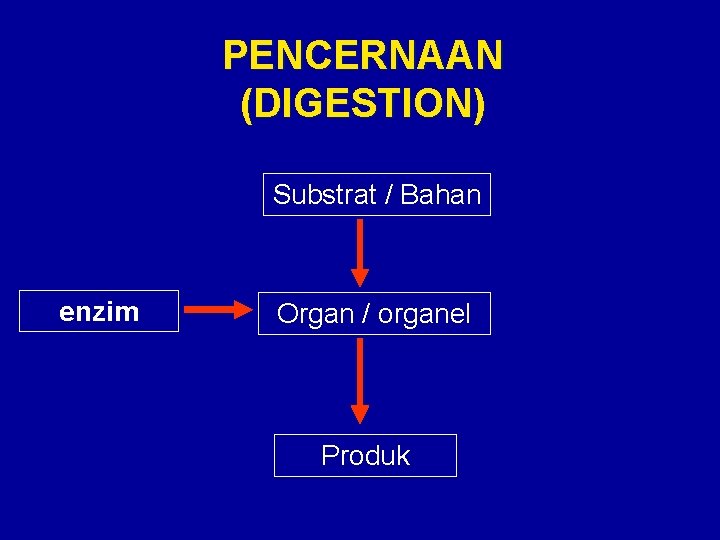 PENCERNAAN (DIGESTION) Substrat / Bahan enzim Organ / organel Produk 