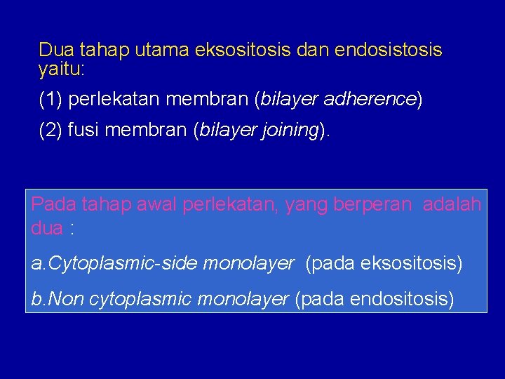 Dua tahap utama eksositosis dan endosistosis yaitu: (1) perlekatan membran (bilayer adherence) (2) fusi