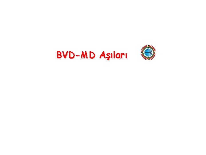 BVD-MD Aşıları 