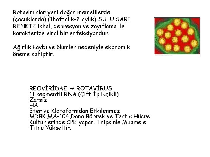 Rotaviruslar, yeni doğan memelilerde (çocuklarda) (1 haftalık-2 aylık) SULU SARI RENKTE ishal, depresyon ve