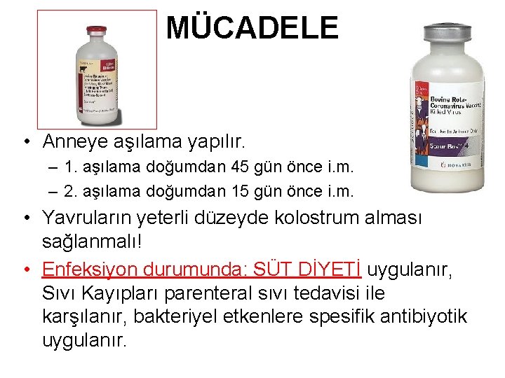 MÜCADELE • Anneye aşılama yapılır. – 1. aşılama doğumdan 45 gün önce i. m.