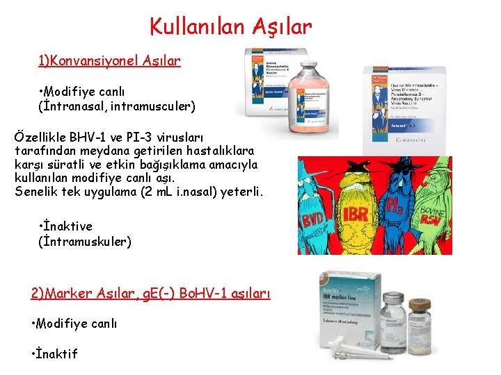 Kullanılan Aşılar 1)Konvansiyonel Aşılar • Modifiye canlı (İntranasal, intramusculer) Özellikle BHV-1 ve PI-3 virusları