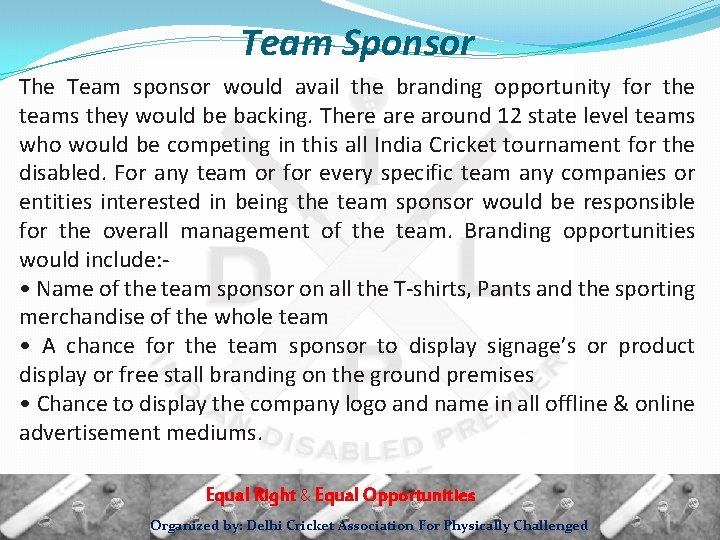 Team Sponsor The Team sponsor would avail the branding opportunity for the teams they