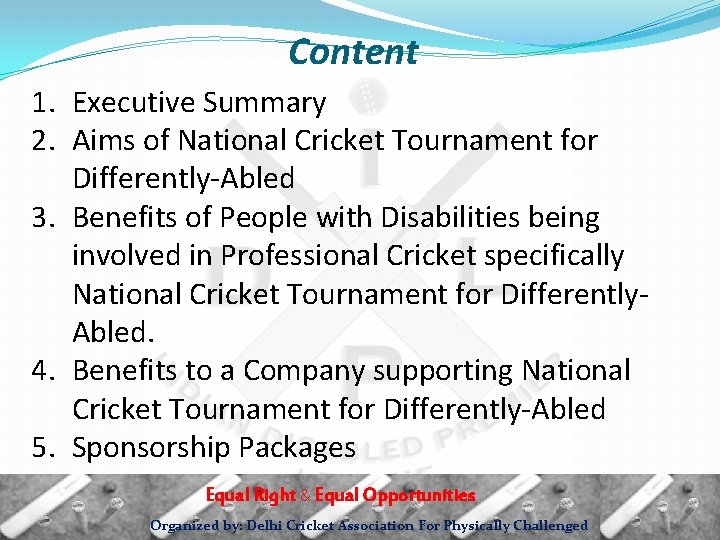 Content 1. Executive Summary 2. Aims of National Cricket Tournament for Differently-Abled 3. Benefits