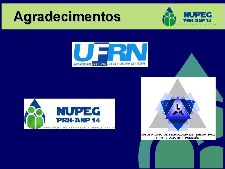 Agradecimentos 