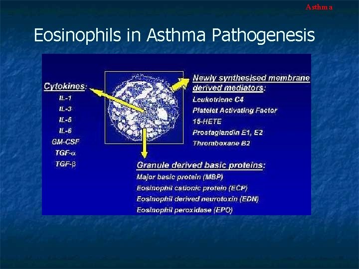 Asthma Eosinophils in Asthma Pathogenesis 