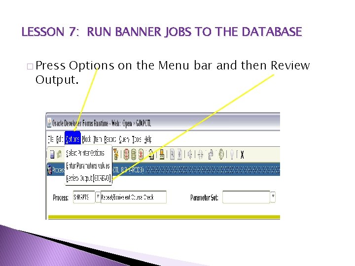 LESSON 7: RUN BANNER JOBS TO THE DATABASE � Press Options on the Menu