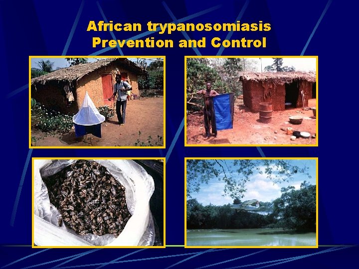 African trypanosomiasis Prevention and Control 