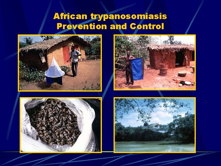 African trypanosomiasis Prevention and Control African trypanosomiasis Prevention and Control