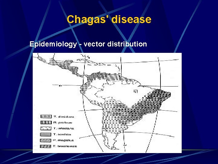 Chagas' disease Epidemiology - vector distribution 
