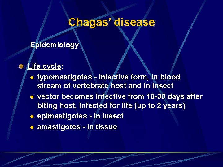 Chagas' disease Epidemiology Life cycle: l typomastigotes - infective form, in blood stream of