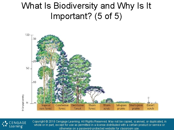 What Is Biodiversity and Why Is It Important? (5 of 5) Copyright © 2018