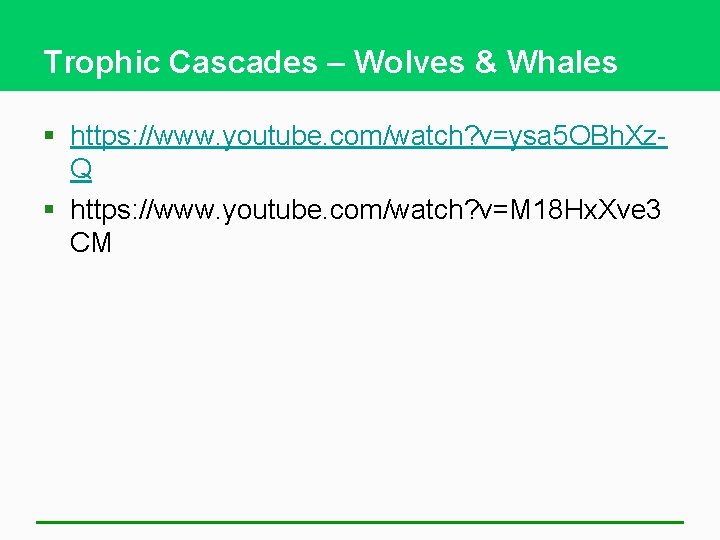 Trophic Cascades – Wolves & Whales § https: //www. youtube. com/watch? v=ysa 5 OBh.