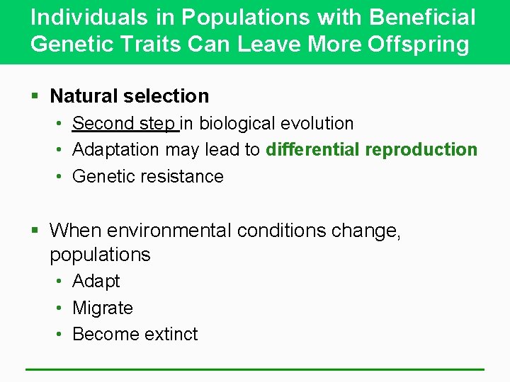 Individuals in Populations with Beneficial Genetic Traits Can Leave More Offspring § Natural selection