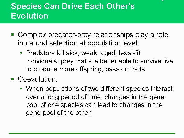 Species Can Drive Each Other’s Evolution § Complex predator-prey relationships play a role in