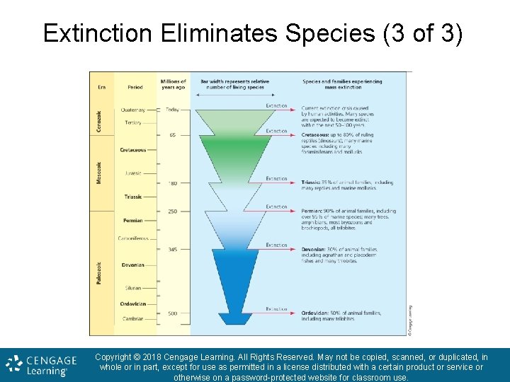 Extinction Eliminates Species (3 of 3) Copyright © 2018 Cengage Learning. All Rights Reserved.