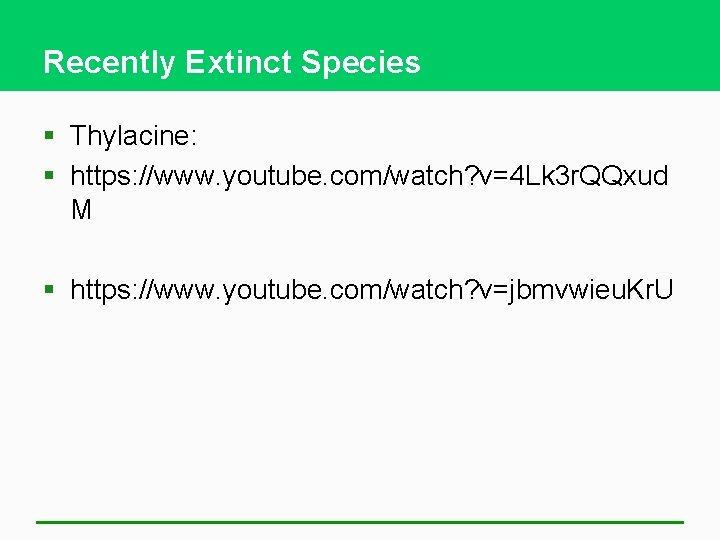 Recently Extinct Species § Thylacine: § https: //www. youtube. com/watch? v=4 Lk 3 r.