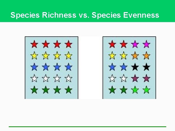 Species Richness vs. Species Evenness 