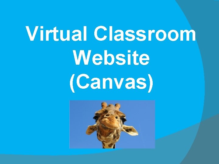 Virtual Classroom Website (Canvas) 