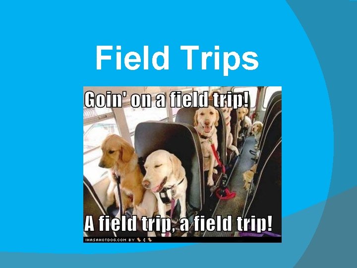 Field Trips 