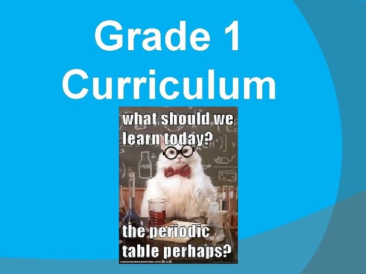 Grade 1 Curriculum 