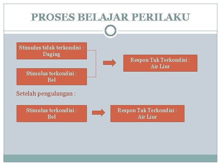 PROSES BELAJAR PERILAKU Stimulus tidak terkondisi : Daging Respon Tak Terkondisi : Air Liur