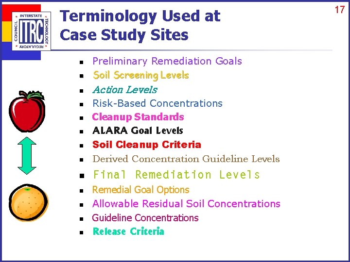 Terminology Used at Case Study Sites n Preliminary Remediation Goals Soil Screening Levels n