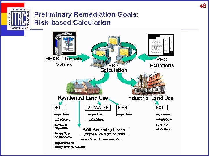 48 Preliminary Remediation Goals: Risk-based Calculation 