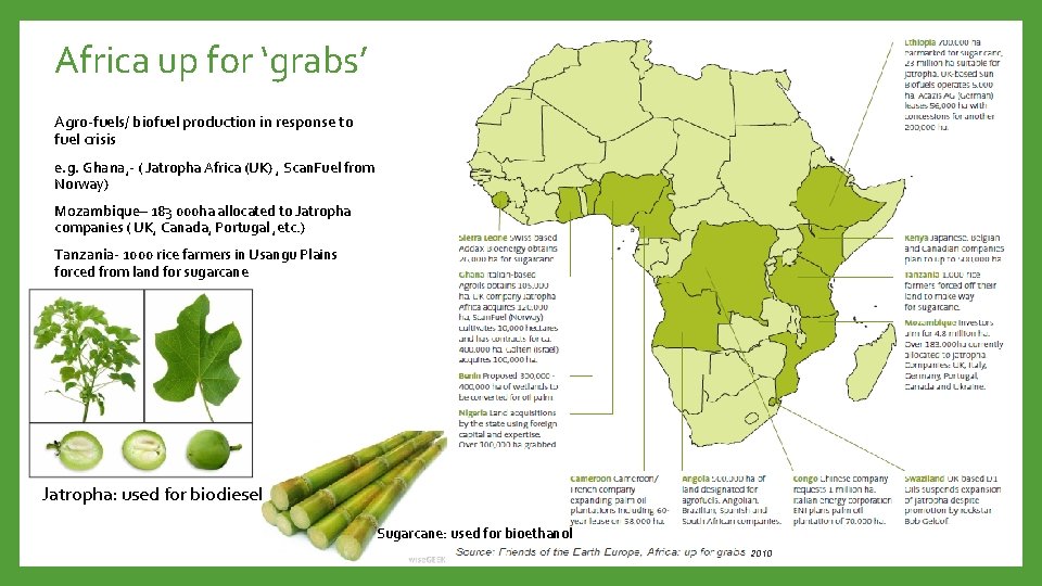 Africa up for ‘grabs’ Agro-fuels/ biofuel production in response to fuel crisis e. g.