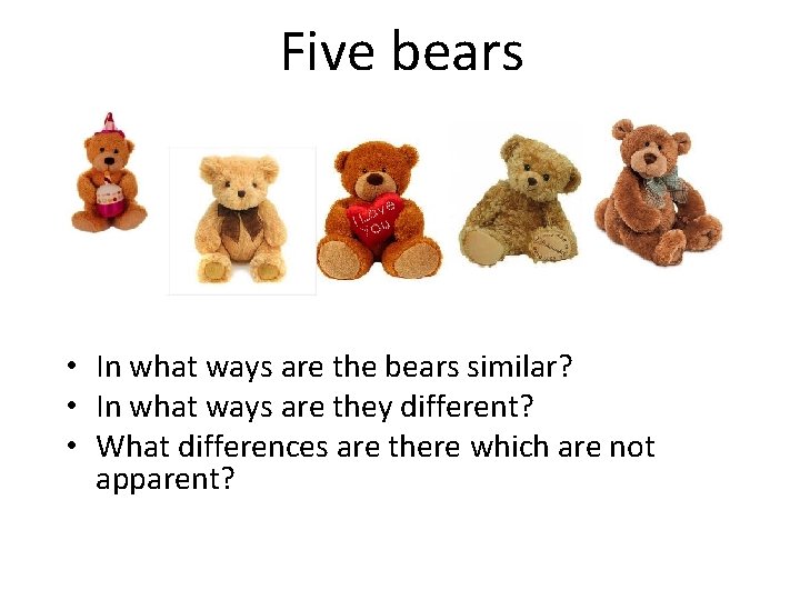 Five bears • In what ways are the bears similar? • In what ways