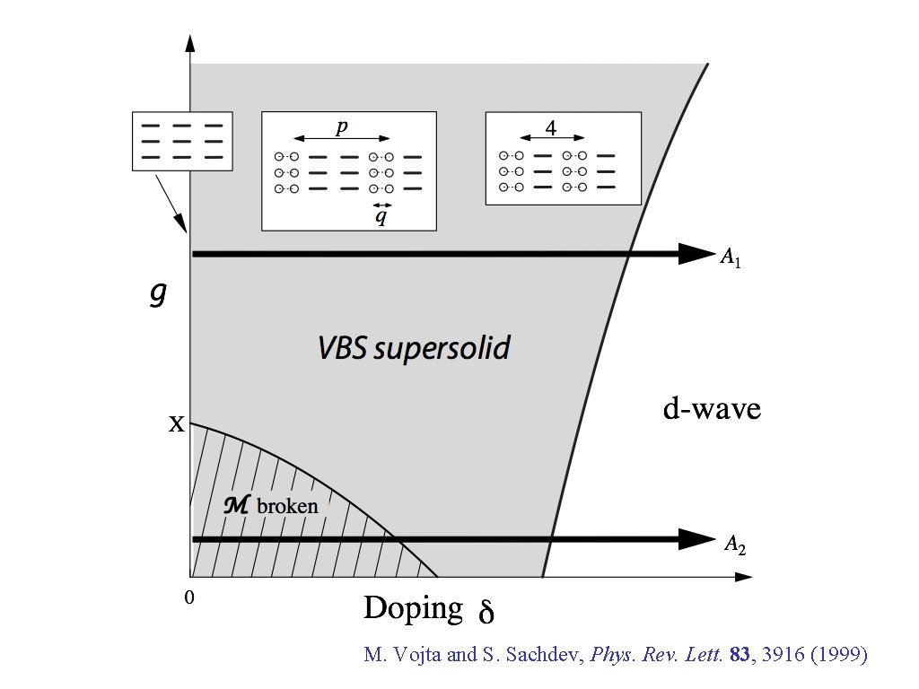 M. Vojta and S. Sachdev, Phys. Rev. Lett. 83, 3916 (1999) 