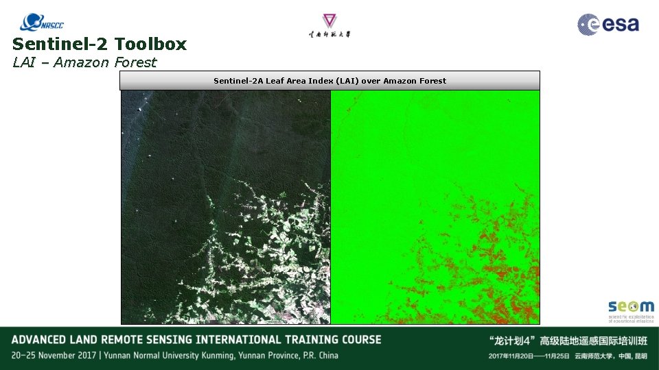 Sentinel-2 Toolbox LAI – Amazon Forest Sentinel-2 A Leaf Area Index (LAI) over Amazon